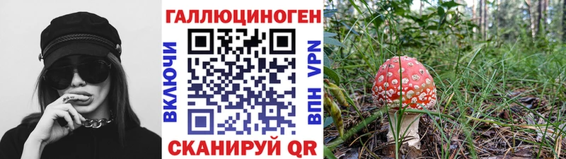 Псилоцибиновые грибы мухоморы  гидра рабочий сайт  Ярцево 